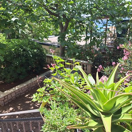 Villa Haus Niko 센 외부 사진