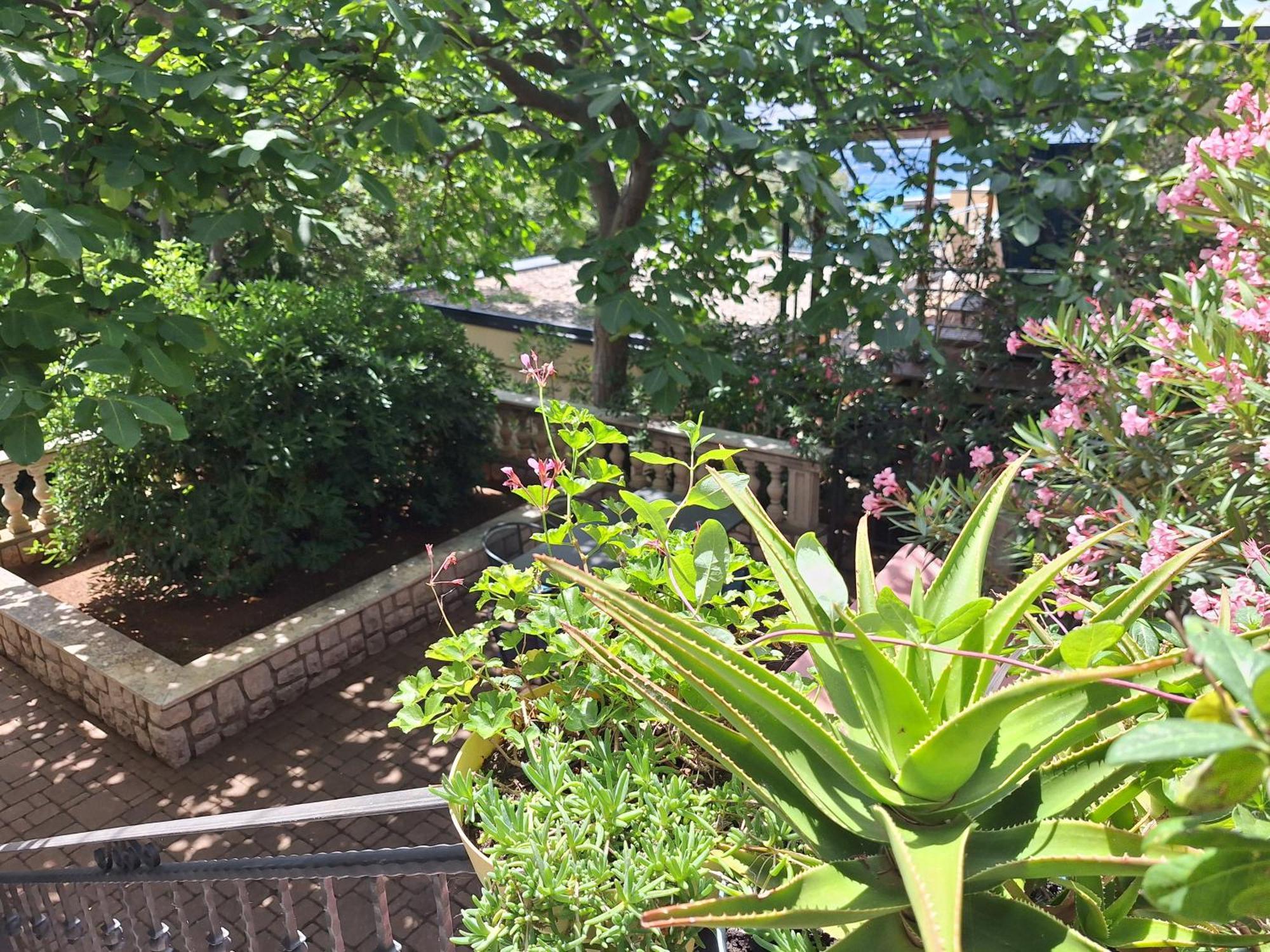 Villa Haus Niko 센 외부 사진
